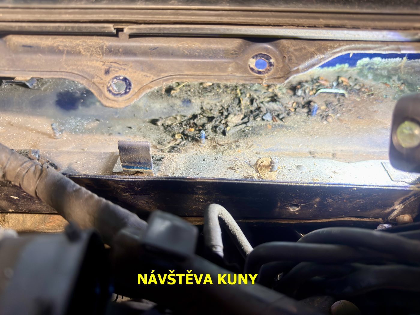 Poškození motorového prostoru po kuně